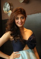 Pranitha Subhash (aka) Pranitha