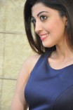 Pranitha Subhash (aka) Pranitha