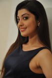 Pranitha Subhash (aka) Pranitha