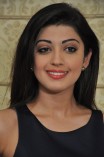 Pranitha Subhash (aka) Pranitha