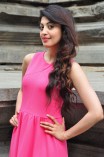 Pranitha Subhash (aka) Pranitha