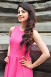 Pranitha Subhash (aka) Pranitha