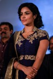 Priya Anand (aka) Actress Priya Anand