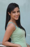 Priya Anand (aka) Actress Priya Anand