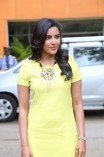 Priya Anand (aka) Actress Priya Anand