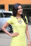 Priya Anand (aka) Actress Priya Anand