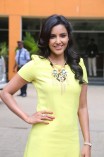 Priya Anand (aka) Actress Priya Anand