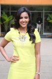 Priya Anand (aka) Actress Priya Anand