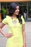 Priya Anand (aka) Actress Priya Anand