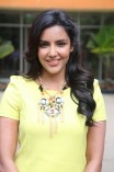 Priya Anand (aka) Actress Priya Anand