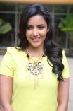 Priya Anand (aka) Actress Priya Anand