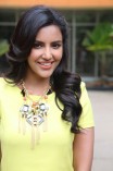 Priya Anand (aka) Actress Priya Anand