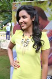 Priya Anand (aka) Actress Priya Anand