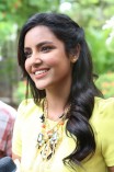 Priya Anand (aka) Actress Priya Anand