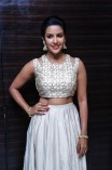 Priya Anand (aka) Actress Priya Anand