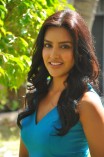 Priya Anand (aka) Actress Priya Anand