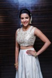 Priya Anand (aka) Actress Priya Anand