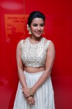 Priya Anand (aka) Actress Priya Anand