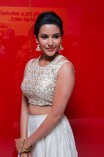 Priya Anand (aka) Actress Priya Anand