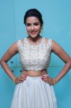 Priya Anand (aka) Actress Priya Anand