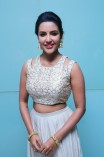 Priya Anand (aka) Actress Priya Anand