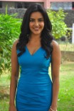 Priya Anand (aka) Actress Priya Anand