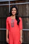 Priya Anand (aka) Actress Priya Anand