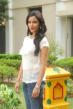 Priya Anand (aka) Actress Priya Anand