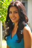 Priya Anand (aka) Actress Priya Anand