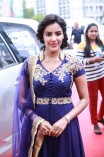 Priya Anand (aka) Actress Priya Anand