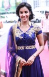 Priya Anand (aka) Actress Priya Anand