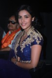 Priya Anand (aka) Actress Priya Anand