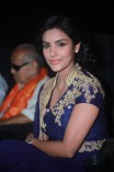 Priya Anand (aka) Actress Priya Anand