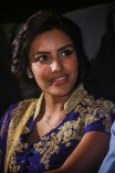 Priya Anand (aka) Actress Priya Anand