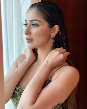 Raai Laxmi (aka) Lakshmi Rai