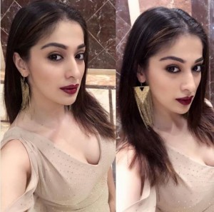 Raai Laxmi (aka) Lakshmi Rai