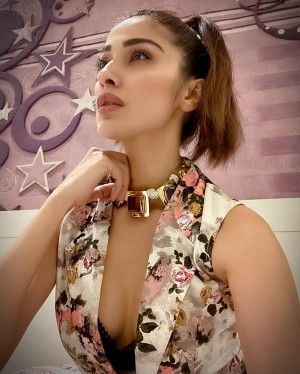 Raai Laxmi (aka) Lakshmi Rai