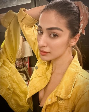 Raai Laxmi (aka) Lakshmi Rai