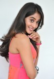 Regina Cassandra (aka) Regina