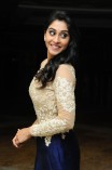 Regina Cassandra (aka) Regina