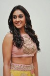 Regina Cassandra (aka) Regina