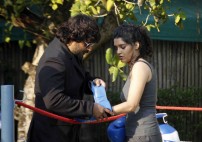 Ritika singh (aka) Ritika Mohan Singh