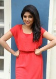 Samyuktha (aka) Samyukthaa