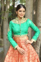 Sanchita Shetty (aka) Actress Sanchita