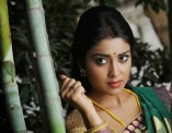 Shriya Saran (aka) Actress Shriya