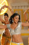 Shriya Saran (aka) Actress Shriya