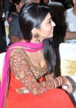 Shriya Saran (aka) Actress Shriya