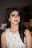 Shriya Saran (aka) Actress Shriya