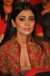 Shriya Saran (aka) Actress Shriya