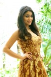 Shriya Saran (aka) Actress Shriya